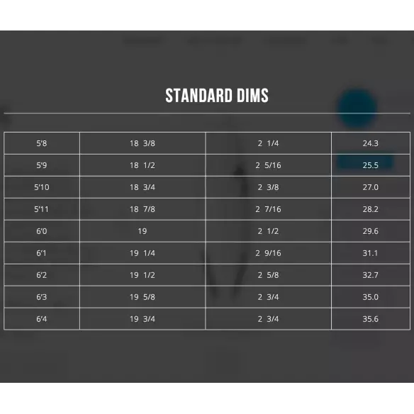 Planche de surf Channel Island Zeus