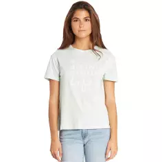 Camiseta Billabong Basic Tee