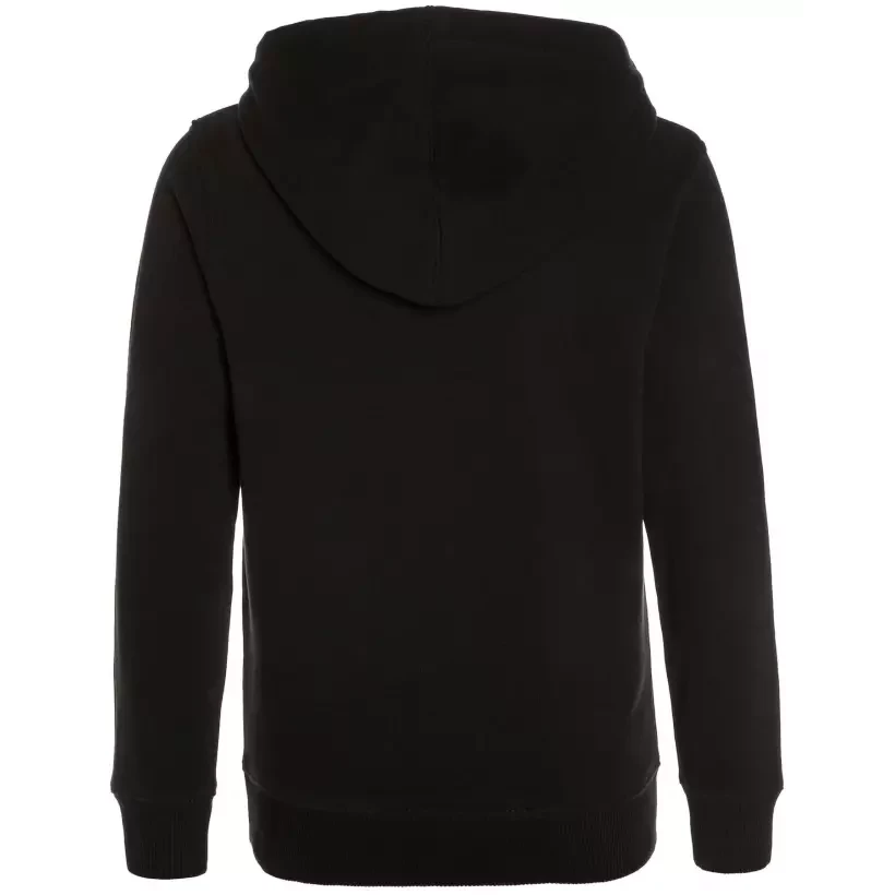 Sweatshirt Billlabong Access Hood