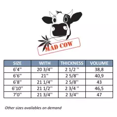 Tabla de surf evolutiva MS Mad Cow 2