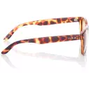 Sunglasses Carve Bohemia