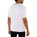 T-Shirt Dakine Inlet Loose Fit