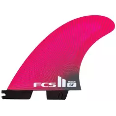 Fins FCSII Sally Fitzgibbons