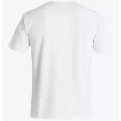 T-Shirt quiksilver Solid Streak 2