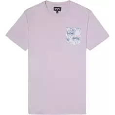 Camiseta Billabong All Day Crew