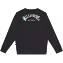 Sweatshirt Billlabong Arching Crew Boys
