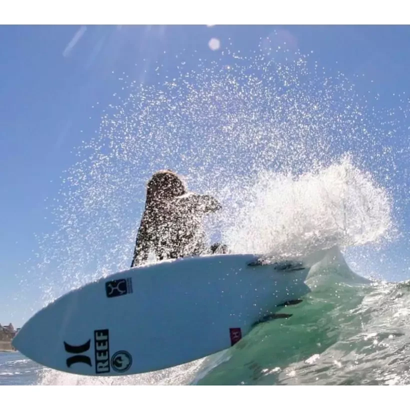 Surfboard Firewire Seaside