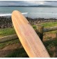 Tabla de surf Firewire Greedy Beaver TimberTek