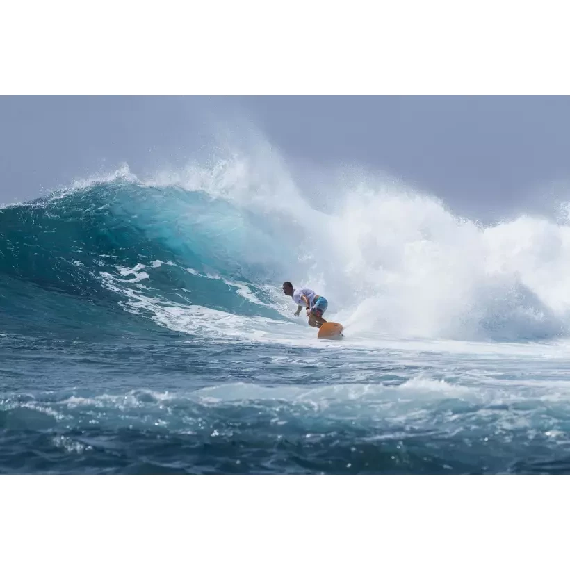 Surfboard Torq fish Colour Pinline (IN STOCK)