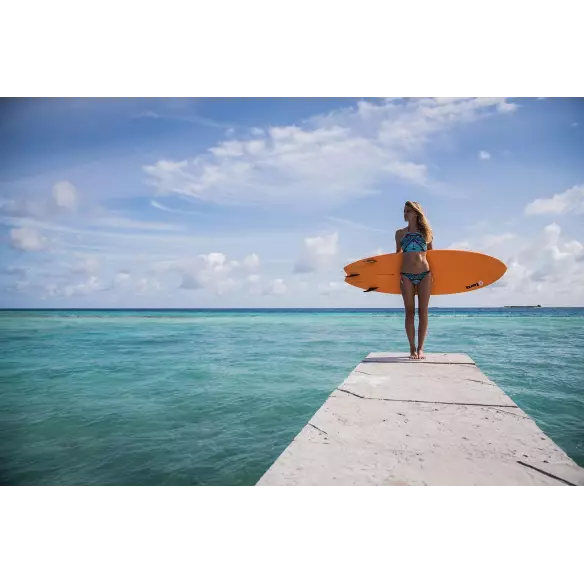 Planche de surf Torq fish Colour Pinline (EN STOCK) Planche de surf Torq fish Colour Pinline (EN STOCK)