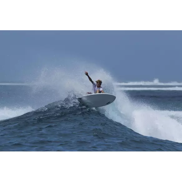 Planche de surf Torq fish Colour Pinline (EN STOCK) Planche de surf Torq fish Colour Pinline (EN STOCK)