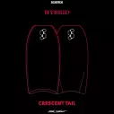 Bodyboard Science Hybrid PP