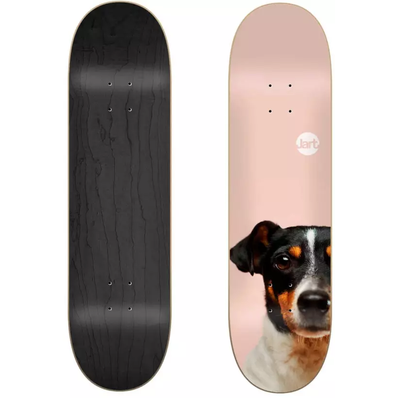 Skateboard Jart Friends 8,125″