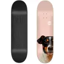 Skateboard Jart Friends 8,125″