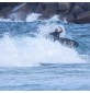 Planche de surf softboard Ryder Retro Fish (EN STOCK)