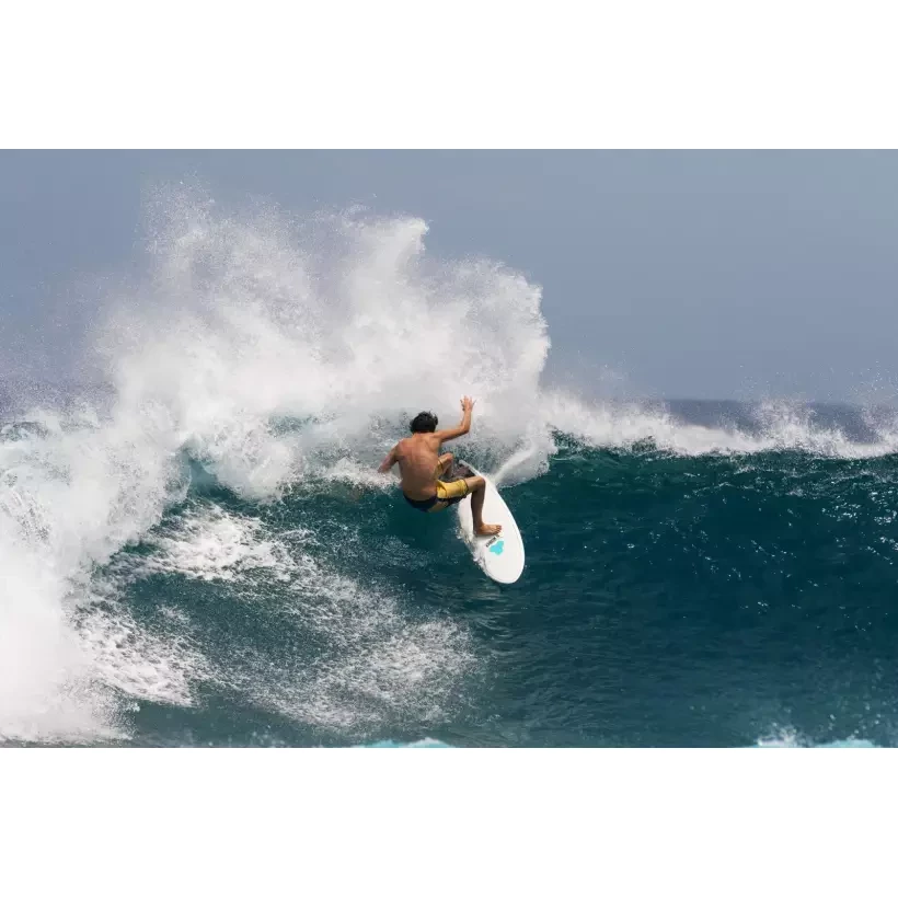 Surfbrett Torq Channel Island Pod Mod X-Lite (AUF LAGER)