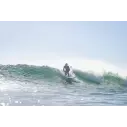 Tavola Da Surf Torq Funboard V+ Classic Design