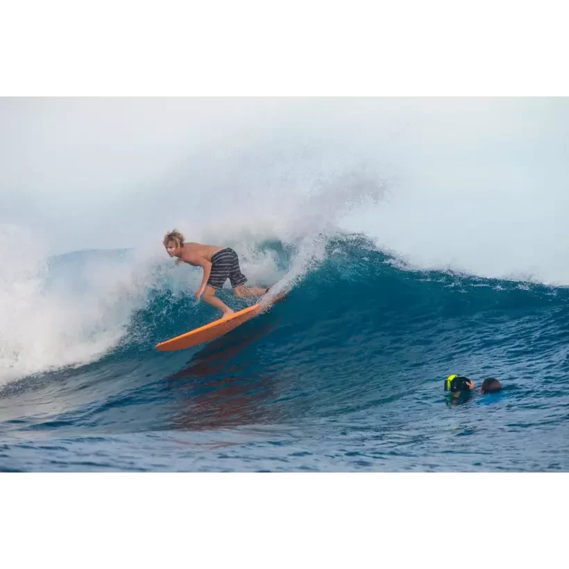 Surfboard Torq Funboard Pinline colour