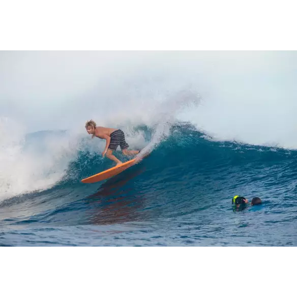 Tavola Da Surf Torq Funboard Pinline Colour