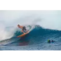Planche de surf Torq Funboard Pinline Colour