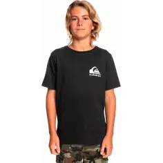 Camiseta quiksilver How Are You Feeling Junior