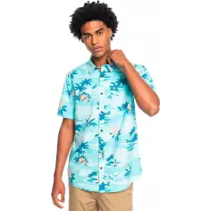 Camisa Quiksilver Birdwatcher