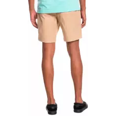 Quiksilver Natural Dye Fatigue 19" Shortv 2