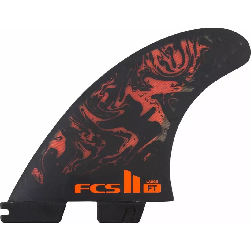 Fins FCSII Felipe Toledo PC