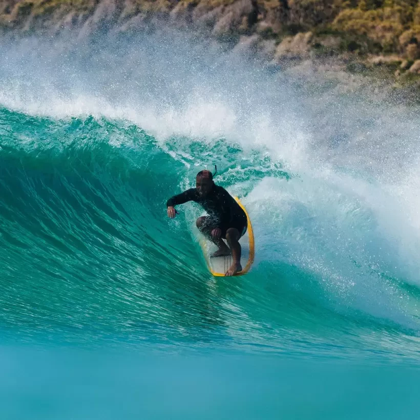 pinne FCSII Waxhead Longboard PG