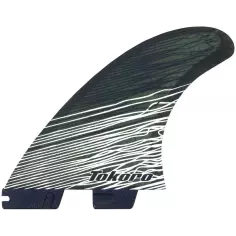 Pinne FCSII Tokoro PC 2