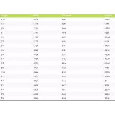 Tavola da surf MS Velocità di Coniglio 2