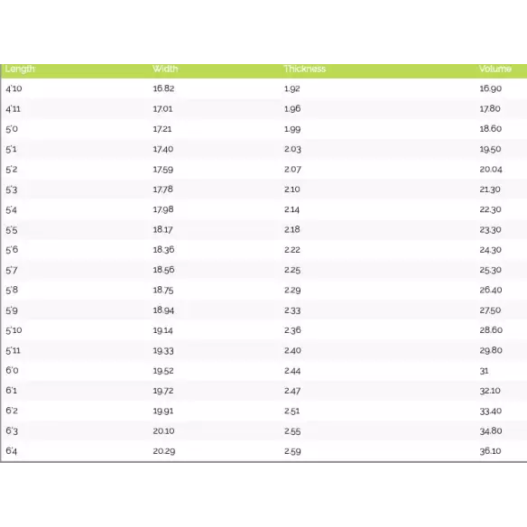 Surfplank MS Snelheid Konijn