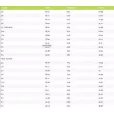 Tabla de surf MS Speed Rabbit 2