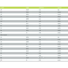 Tabla de surf MS Speed Rabbit 2