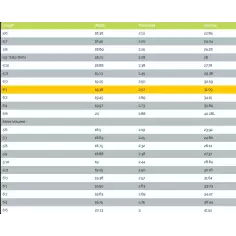 Tabla de surf MS Speed Rabbit 2