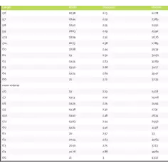 Tabla de surf MS Speed Rabbit 2