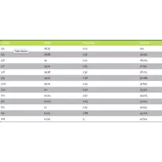 Tabla de surf MS Speed Rabbit 2