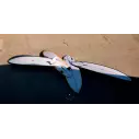 Surfboard Pukas Tasty Treat