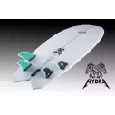 Surfplank Verloren Plas Vissen