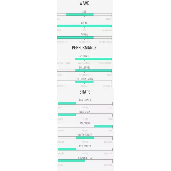 Planche de surf Channel Island Black and White