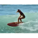 Tavola da surf Isola del Canale in Bianco e Nero