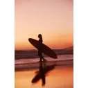 Tavola da surf Isola del Canale in Bianco e Nero