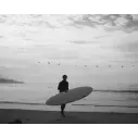 Planche de surf Channel Island Black and White