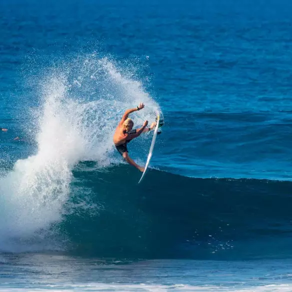 Surfbrett Channel Island Black and White