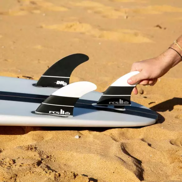 Ailerons FCSII Matt Biolos PC