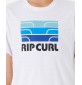 Camiseta Rip Curl surf revival Mumma