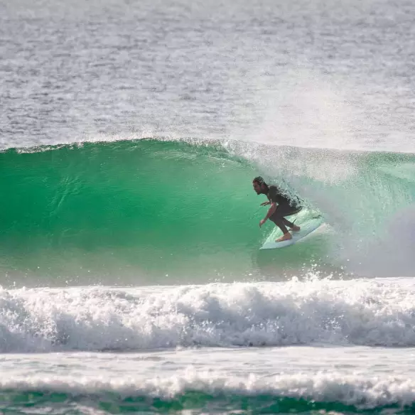 Pinne FCSII Harley Black Quad