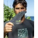 Quilhas surf FCSII Al Merrick PG