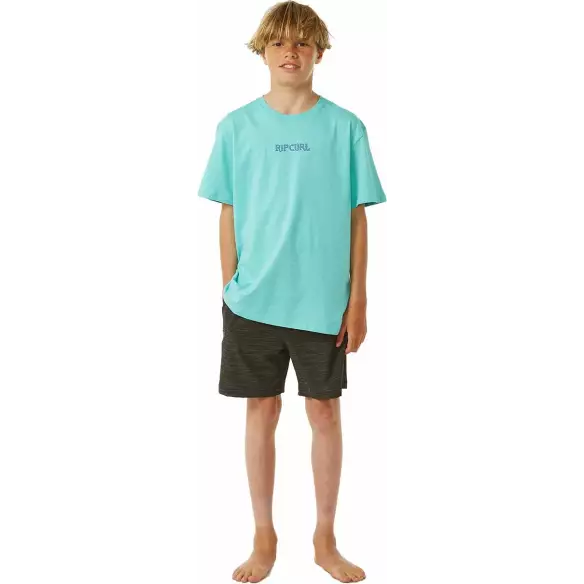 Camisa Rip Curl LOST ISLANDS ART TEE ­BOYS Acqua