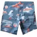 Vissla Trip 17,5'' boardshort